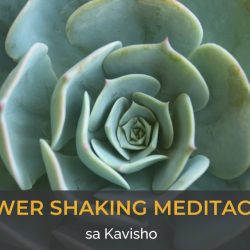 Junska radionica: Power Shaking meditacija