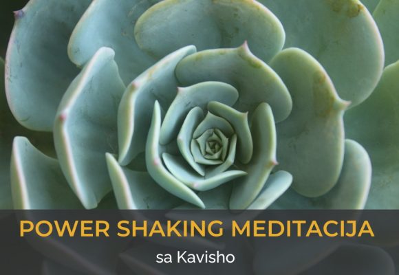 Junska radionica: Power Shaking meditacija