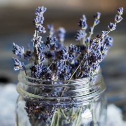 Mirisi leta – uravnoteženje tela i uma aromaterapijom