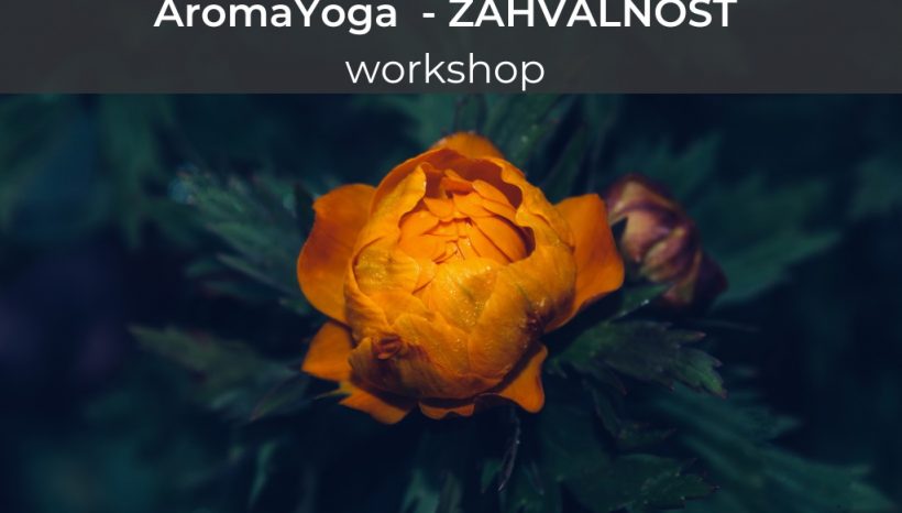 AromaYoga Workshop