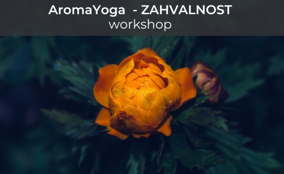 AromaYoga Workshop