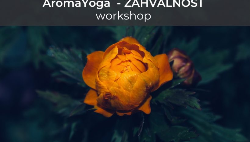 AromaYoga Workshop